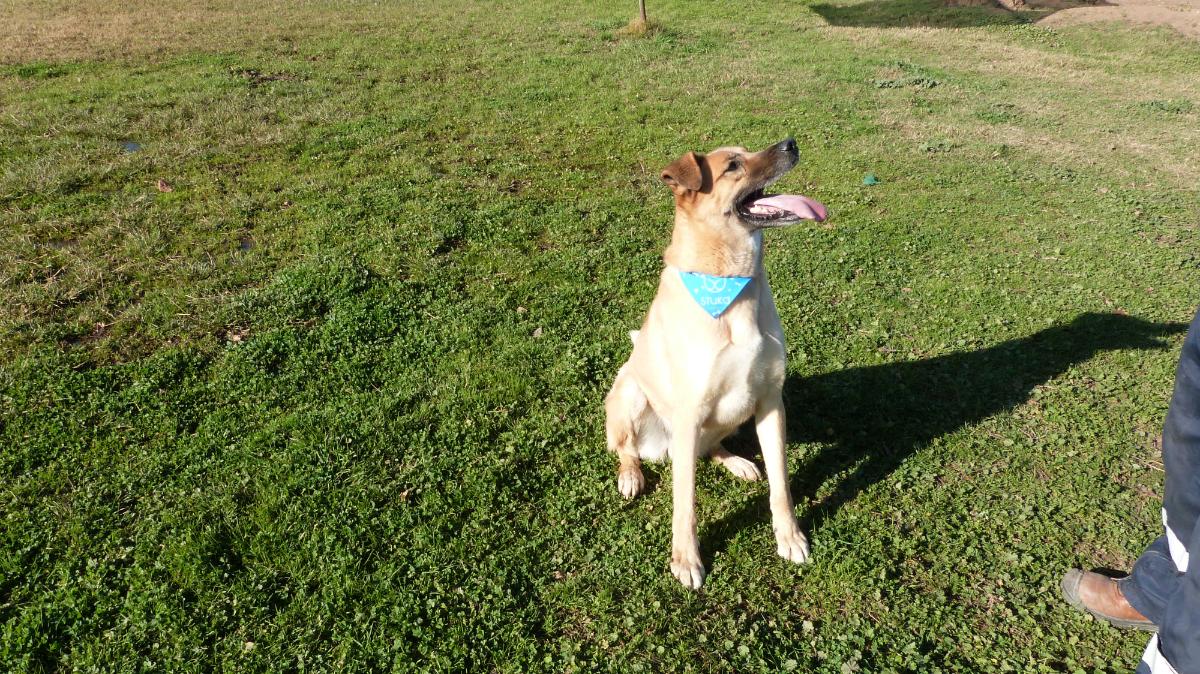 rigo galeria (4)